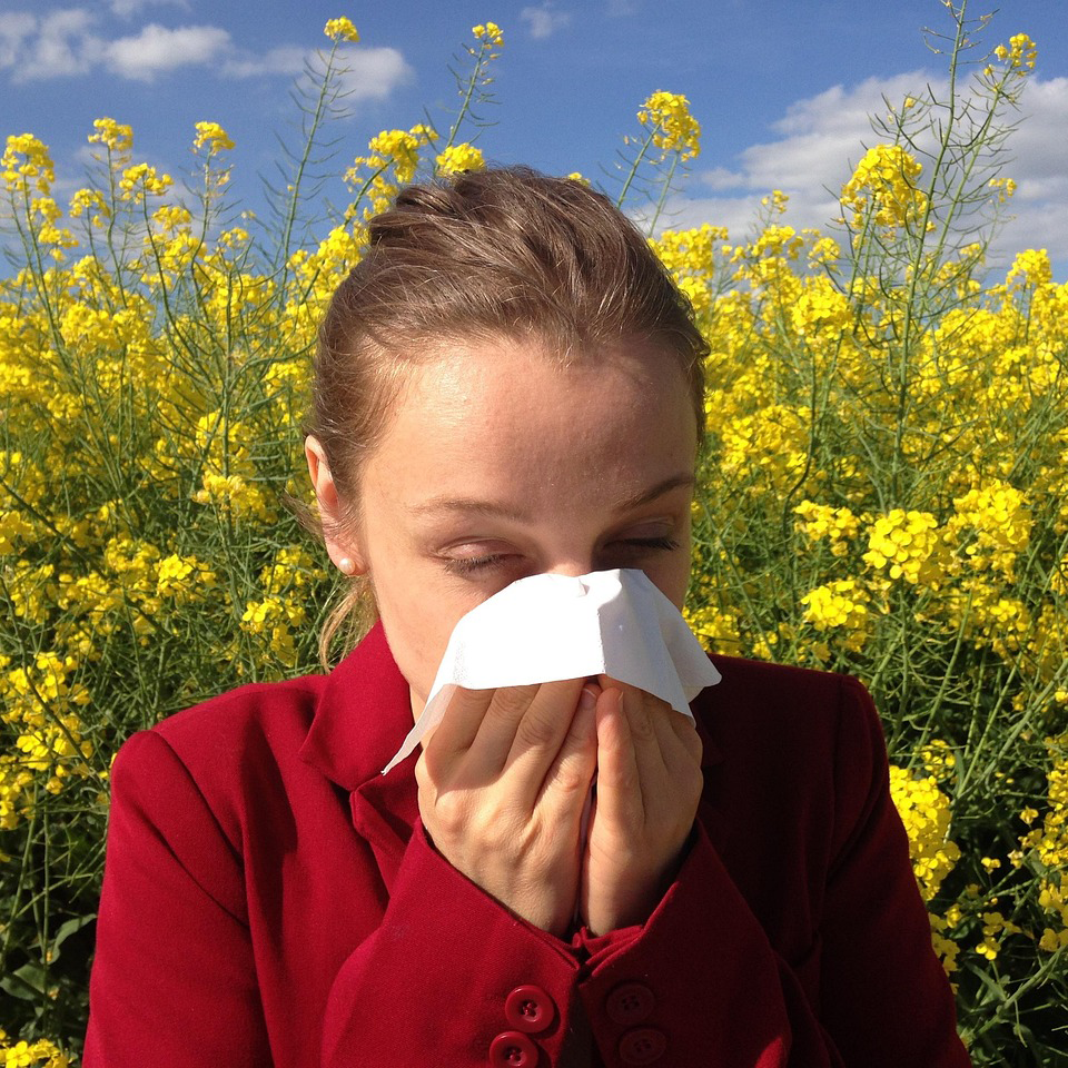 Allergies : une voie vers le mieux-être